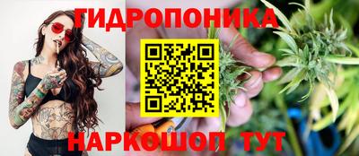 а пвп мука Новодвинск