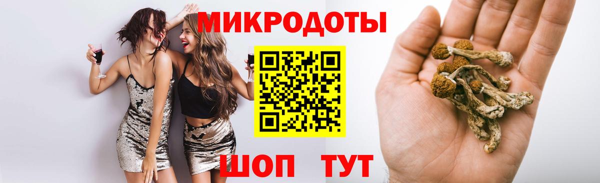 Галлюциногенные грибы Cubensis Саратов